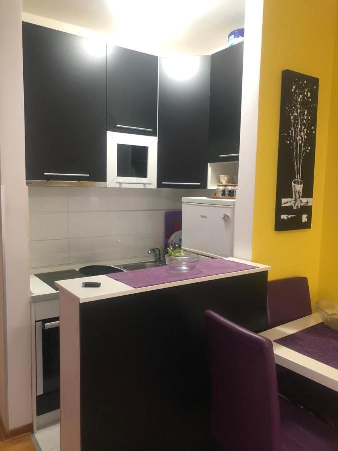 Apartman Tanjuska 波德戈里察 外观 照片