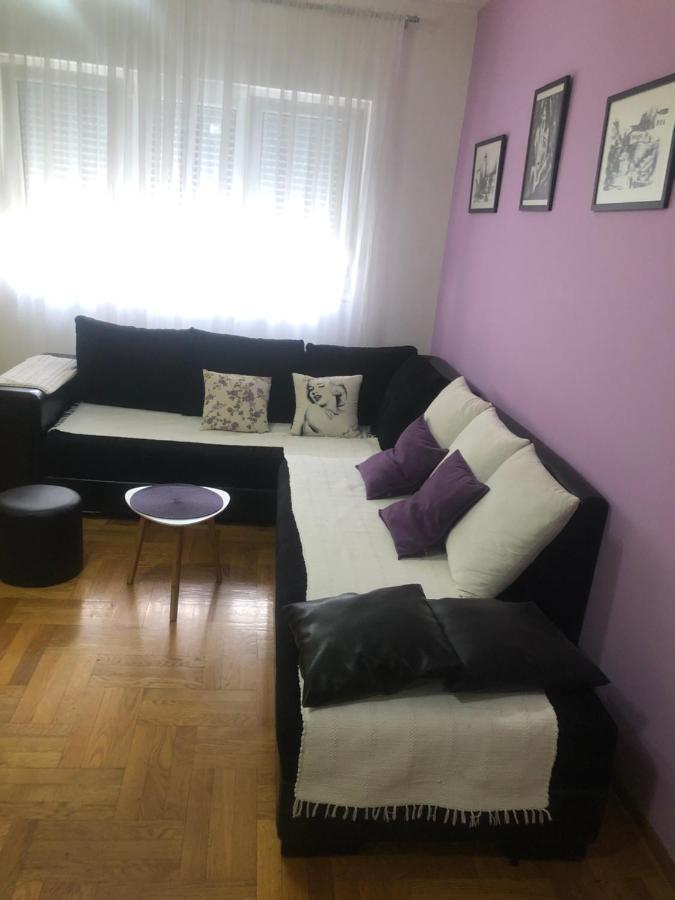 Apartman Tanjuska 波德戈里察 外观 照片