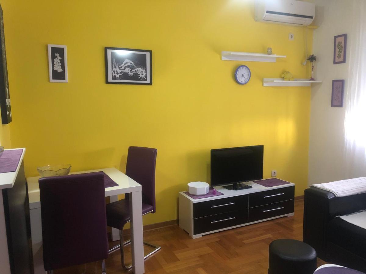 Apartman Tanjuska 波德戈里察 外观 照片